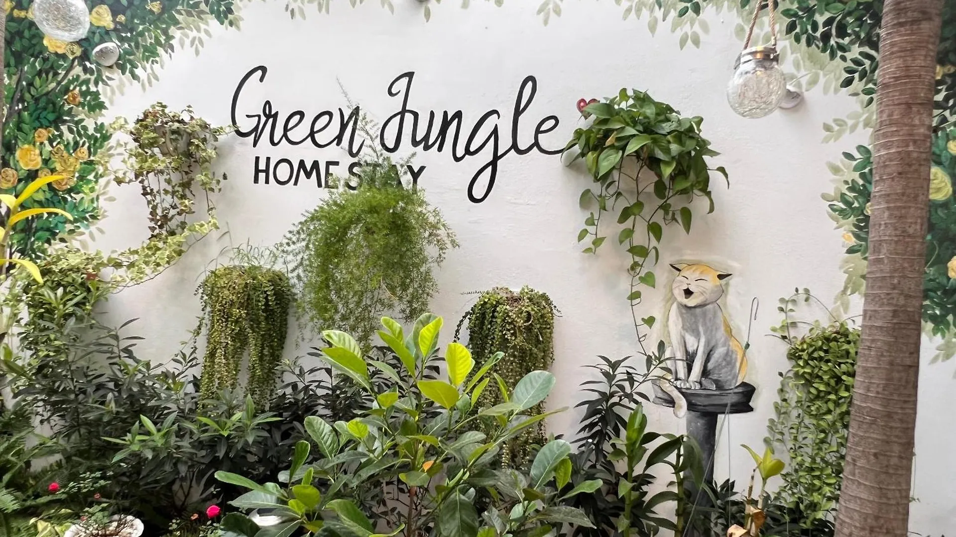 Green Jungle Homestay - Phu Hop Gia Dinh Tu 10 - 15 Nguoi Lon & 5 Tre Em - Bai Dau Xe O To, San Bbq - Mien Phi Su Dung Dich Vu Ho Boi Cach Homestay 3 Phut Di Bo - 7 Phut Di Bo Den Bien - 5 Phut Den Cho Hai San Phu Thuy 판티엣